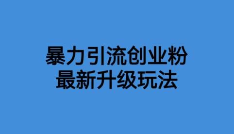 价值1980一千个野路子暴力引流最新升级玩法【揭秘】