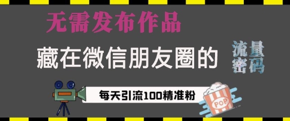 藏在微信朋友圈的流量密码，无需发布作品，单日引流100+精准创业粉【揭秘】