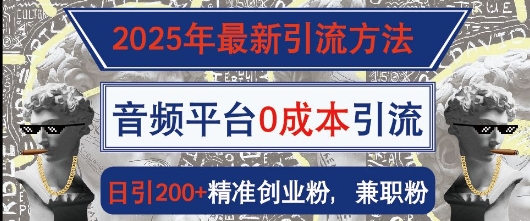 2025年最新引流方法，音频平台0成本引流，日引200+精准创业粉