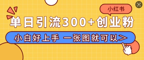 小红书单日引流300+创业粉，“简单粗暴”引流法，小白好上手，私信回不完